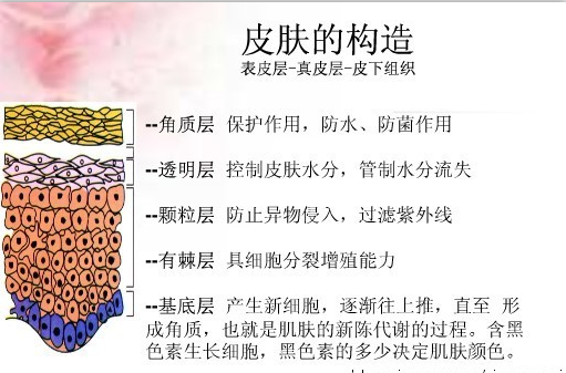 QQ截圖20150815093635.png